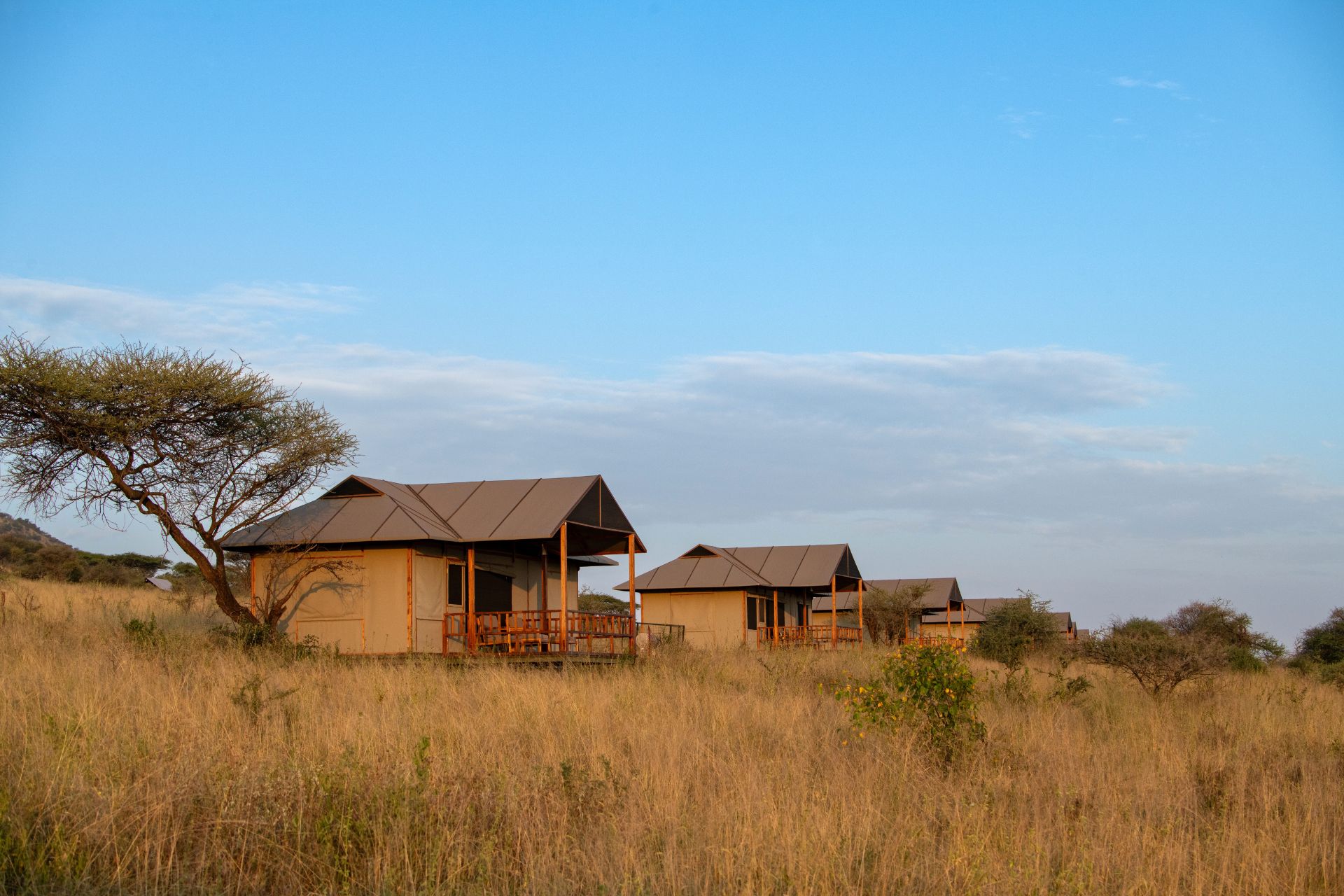 Nyikani-Central-Serengeti-Camp-web-1920x1280-8.jpg